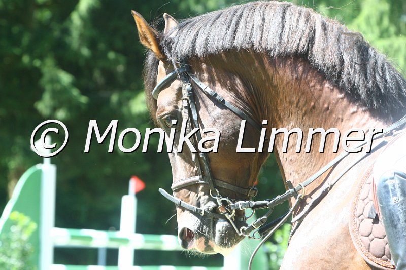 308M2183_Its Otto_Spring Mxx.JPG